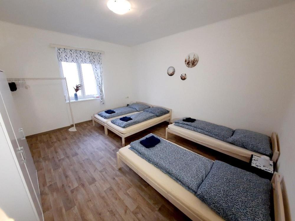 Apartman Anezka 兹诺伊莫 外观 照片
